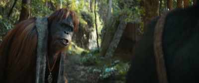 She follows you
from your village? - Kingdom of the Planet of the Apes