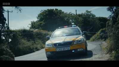 SHE GASPS, TYRES SCREECH - Blue Lights