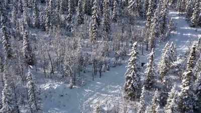 She gets one on
one time with me, - Life Below Zero: Next Generation