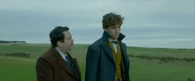 She has eyes just like a salamander. - Fantastic Beasts: The Crimes of Grindelwald