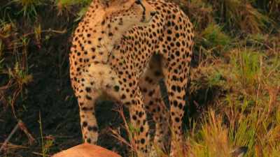 She is hundreds of meters away from them, - The Year Earth Changed
