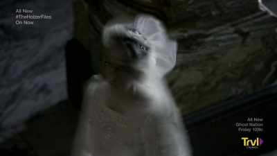 She just faded away. - The Holzer Files
