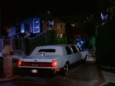 She just handed me her dog. - Matlock