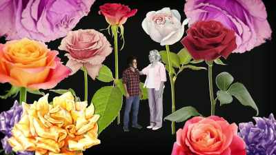 She let me know that
you need to grow up, - The Lady and the Dale