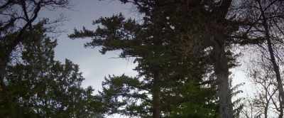 She was light and
fair like the Lintons, - Wuthering Heights
