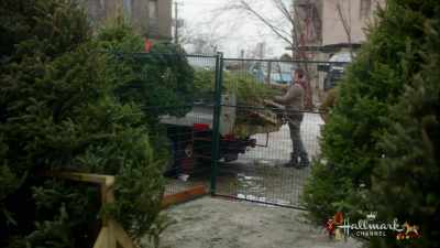 She likes to smell
our Christmas trees, - Christmas Festival of Ice