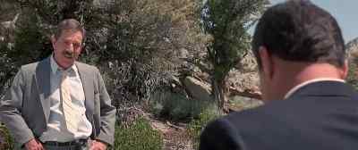 She looks like an accomplice. - Joshua Tree