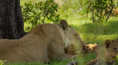 She once lost
what was most precious to her. - Surviving Paradise: A Family Tale