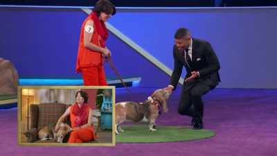 She makes me laugh all day long. - 2022 American Rescue Dog Show