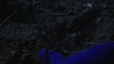 She might not have died
instantly from being strangled. - Buried In The Backyard