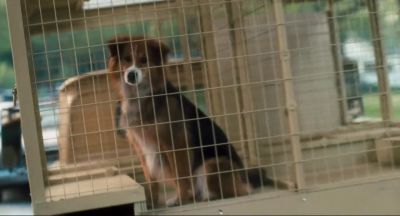 She was my best friend - Doctor Dolittle
