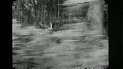 She nearly escapes, - LOLA