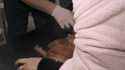 She needs a suture,
a couple of stitches should be enough. - Ayka