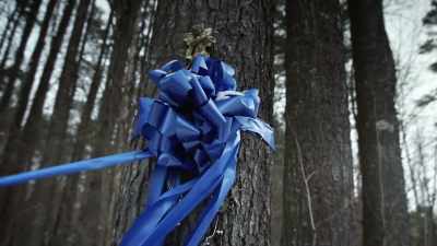 She only knew that 21-year-old
Maura Murray was missing. - The Disappearance of Maura Murray