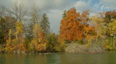 She is paddling downriver
past Grand Island - World's Most Scenic River Journeys