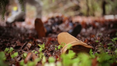 She was probably 10 feet off of this path, - How I Caught My Killer