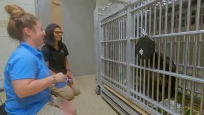 She probably enjoys
your company at least, - Secrets of the Zoo