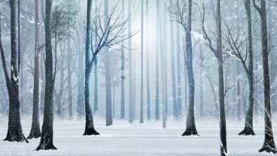 She put it close to the chimney,
and said to herself, - A Frozen Christmas 2