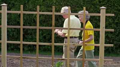 She ran into
the old boys' network, - The Woman Who Loves Giraffes