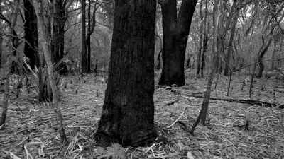 She was really left
alone at that point in time, - The Witch of Kings Cross