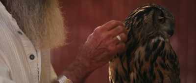 She represents wisdom,
and she helps us - Rite of the Shaman