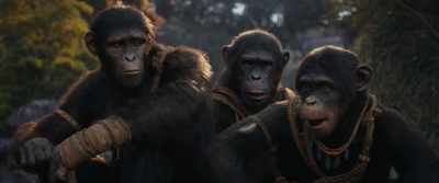 She saw a small and a big. - Kingdom of the Planet of the Apes
