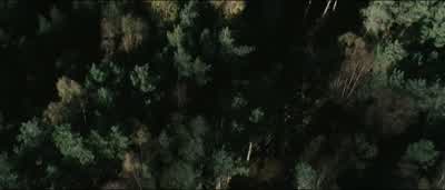 She screamed your name, but you weren't there. - Snow White and the Huntsman