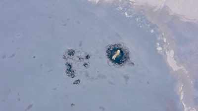 She shows off
the swimming skills - Frozen Planet II