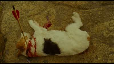 She stabbed Redford in the back with lefty scissors! - Moonrise Kingdom