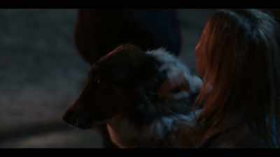 She was supposed to be put down,
and then he came along. - Rescued by Ruby