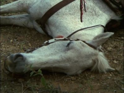 SHE SURE WAS HIT, - Hawaii Five-0