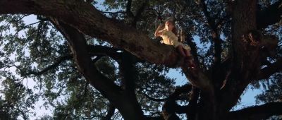 She taught me how to climb - Forrest Gump
