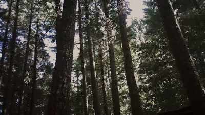 She told me a story
about these guys from LA, - Sasquatch