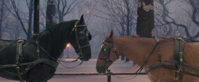 She told me she had won
many prizes for George, - Black Beauty
