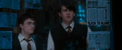 She tortured them for information... - Harry Potter and the Order of the Phoenix