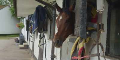 She toured the horses
and she loved to come down - Quintessentially British