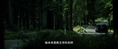 She used to teach literature - The Invisible Witness