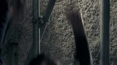 SHE WAILS - Celebrity SAS: Who Dares Wins