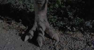 She wants me, man,
I know she wants me. - Tammy and the T Rex
