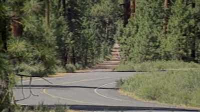 She went for a jog
on this road. - Lost Women of Highway 20