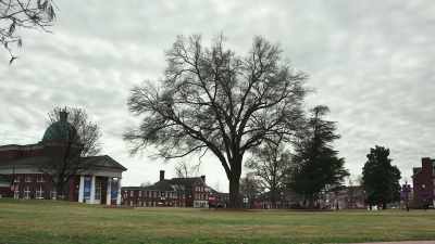 She went to High Point
because the boyfriend - Alice is Still Dead