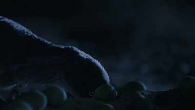She will eat as many eggs
as fast as she can. - Prehistoric Planet