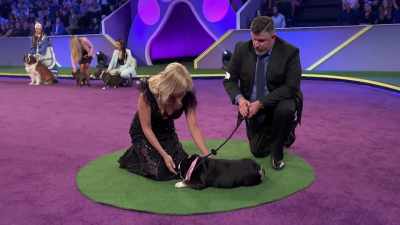 She was with a breeder
who was just using her - 2022 American Rescue Dog Show