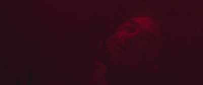 She would've grown
into a fuckup, - The Silencing