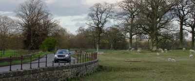 (sheep baaing) - This England