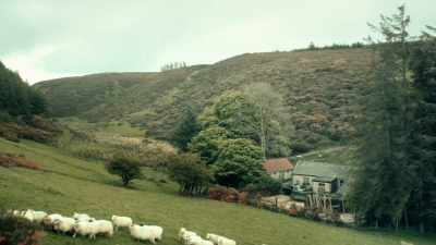 (Sheep bleating) - Magpie Murders