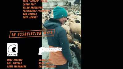 [sheep bleating] - Accomplice