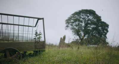 (sheep bleating) - You Should Have Left