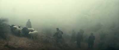 (SHEEP BLEATING) - 12 Strong