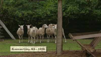 [ Sheep braying ] - True Terror with Robert Englund
